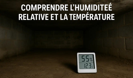 Taux d'Humidité Idéal pour un Vide Sanitaire : Le Guide Complet