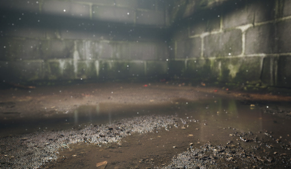 Votre Vide Sanitaire est Humide ? Les 5 Signes qui ne Trompent Pas (et Pourquoi Agir Vite)