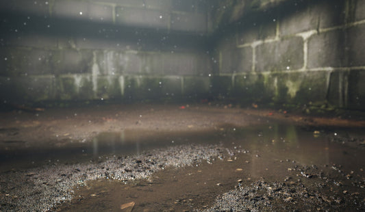 Votre Vide Sanitaire est Humide ? Les 5 Signes qui ne Trompent Pas (et Pourquoi Agir Vite)